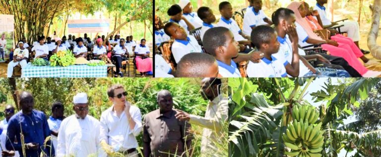 Screenshot_20251017-154409