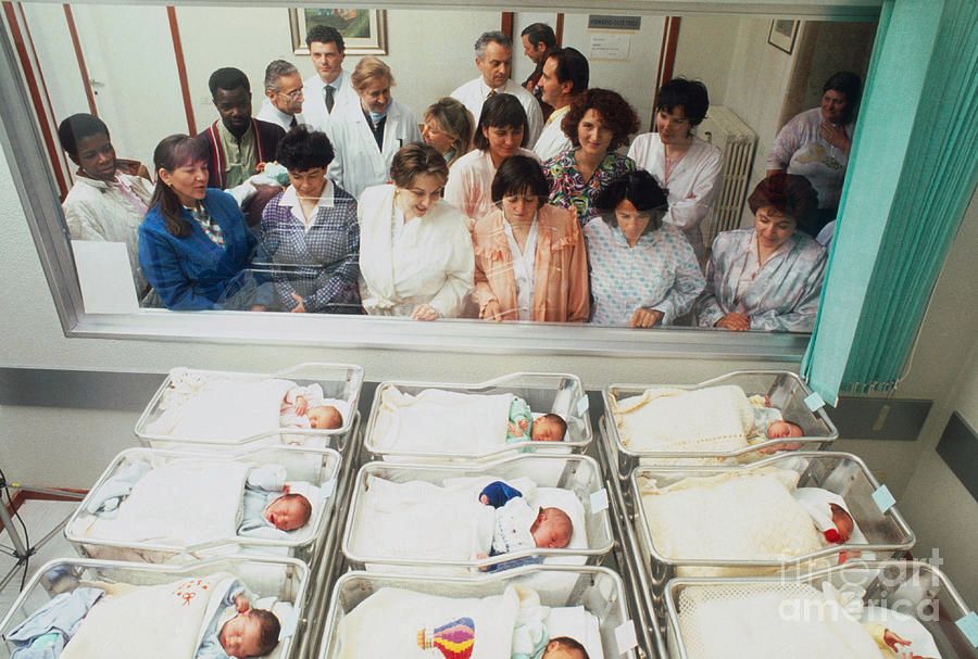 1-nurses-with-newborn-babies-in-a-hospital-nursery-mauro-fermarielloscience-photo-library7456664490467068306.jpg