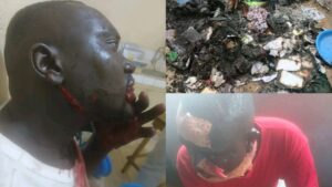 incollage_20260916_0748306071203409115705679080